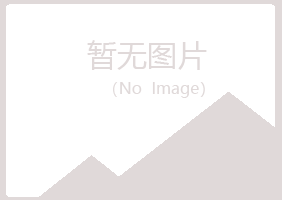 共和县冰夏建筑有限公司